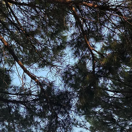 A3 Διαμέρισμα *