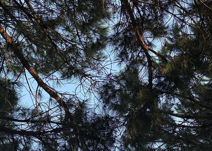 A3 Διαμέρισμα *